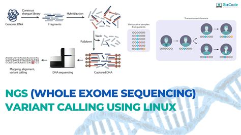 Hands-on: NGS (Whole Exome Sequencing) Variant Calling Using Linux | BioCode