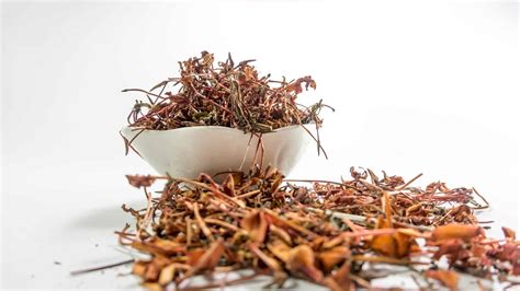 What Is Ayurvedic Tea Good For? Is It Safe? - My Tea Vault