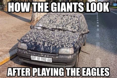 26 Best Memes of Eli Manning & New York Giants Crushed by the ...