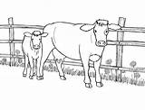 Dead Cow Coloring Page sketch template
