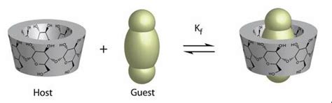 Cyclodextrins structure and inclusion complex formation [20]. | Download Scientific Diagram