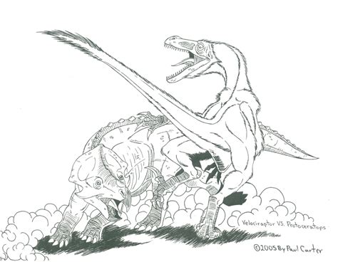 Protoceratops VS Velociraptor by Carnosaur on DeviantArt