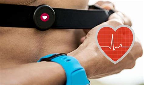 Why Exercise With a Heart Rate Monitor? • Bodybuilding Wizard