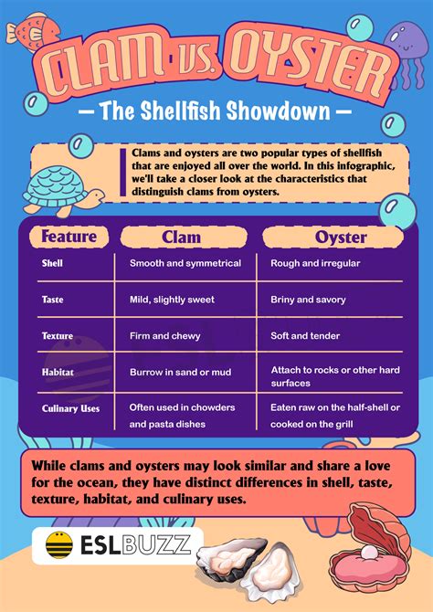 Clam vs. Oyster: A Guide to Choosing the Perfect Shellfish for Your ...