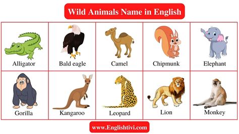 Wild Animals With Names