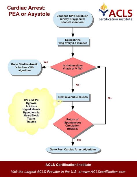 Adult Cardiac Arrest Algorithm : PEA or Asystole algorithm by the ACLS Certification Institute ...