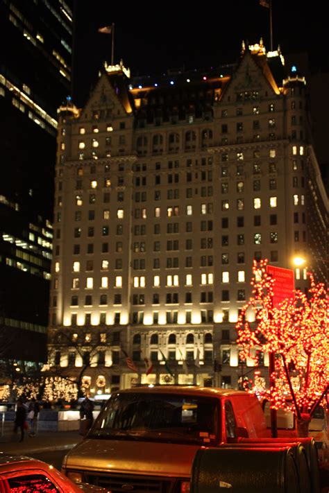 Plaza Hotel | New york christmas, Plaza hotel, York city