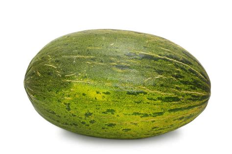 Whole sugar melon stock photo. Image of vitamin, produce - 5378836