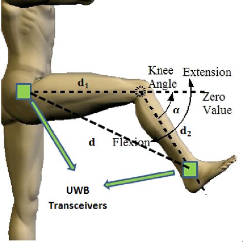 Figure 1 from Measurement of knee flexion/extension angle using wearable UWB radios | Semantic ...