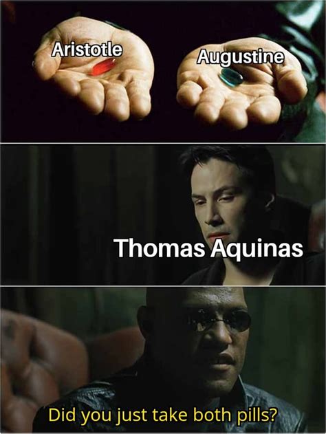 Happy Feast Day of Saint Thomas Aquinas! : r/CatholicMemes