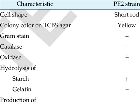 Phenotypic characteristics of Vibrio alginolyticus PE2. | Download Table