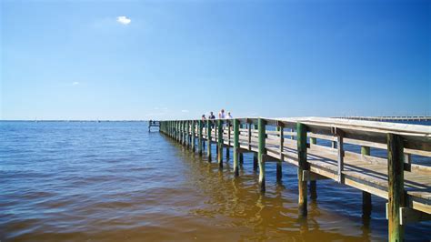 Top 10 Pet Friendly Hotels In Punta Gorda, FL $99: Dog & Cat Friendly ...