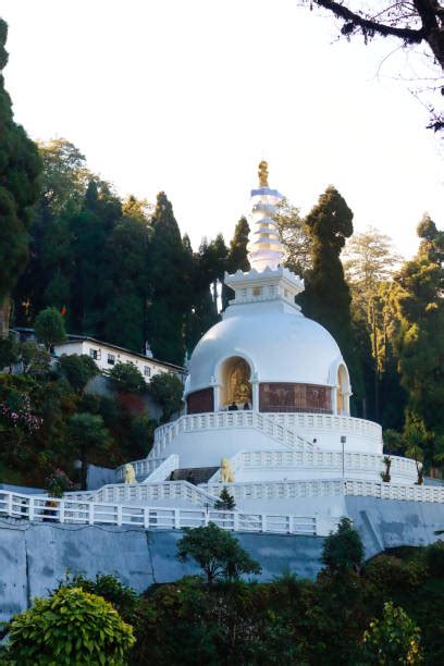 40+ Peace Pagoda Darjeeling Stock Photos, Pictures & Royalty-Free ...