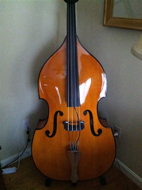 Nice one, what happened to King Doublebass? | Double bass, Upright bass ...