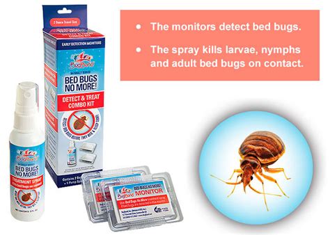 3 Best Insecticide for Bed Bugs that Actually Work in 2024: Expert Review