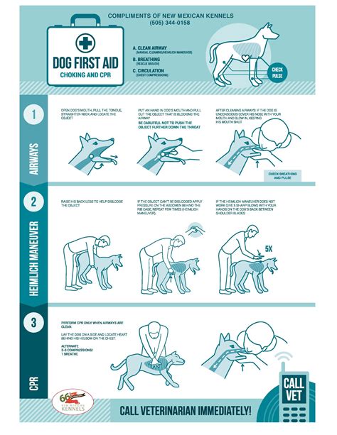 How To Do The Heimlich On A Puppy