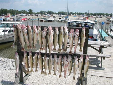 Lake Erie Fishing Charters - West Sister Charter Fleet