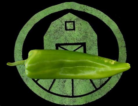 Hatch (New Mexico) Green Chile Pepper Seeds | Tyler Farms