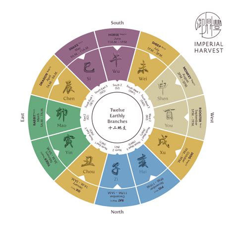 A Comprehensive Guide to the History of Bazi (八字) - Imperial Harvest