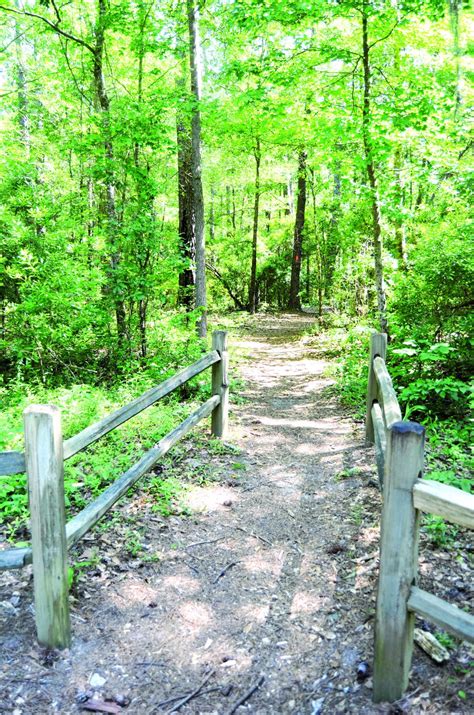 Happy trails -- Region provides plethora of hiking, biking opportunities | Features | thetandd.com