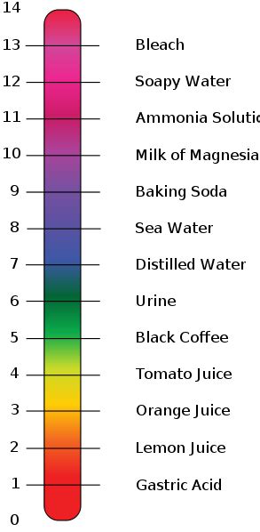 Kids science: Acids and Bases