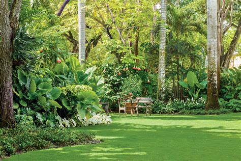 Spacious Tropical Lawn | Tropical garden design, Tropical landscaping, Tropical backyard