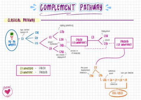 Classical Pathway | PDF