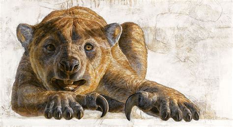 Thylacoleo carnifex, the Marsupial Lion. : r/pleistocene