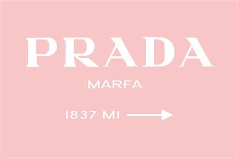 Pin by ♡s t e f i♡ on P H O T O W A L L C O L L A G E | Prada marfa, Aesthetic collage, Prada