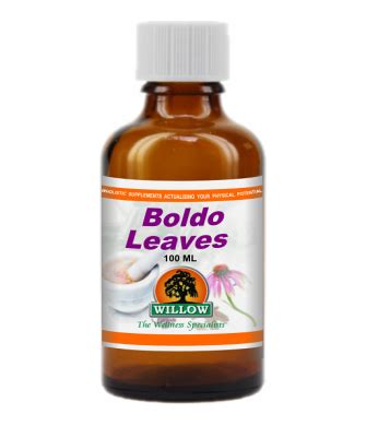 Boldo Leaves 100ml | Tinctures | Willow Wellness