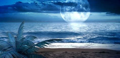 🔥 [49+] Live Beach Wallpapers | WallpaperSafari