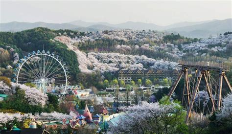 Winter in Korea - 12 Amazing Winter Destinations in South Korea | Korea ...