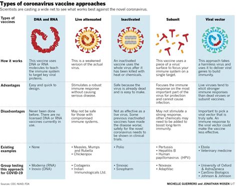 Scientists are struggling to quickly find a vaccine that can vanquish ...