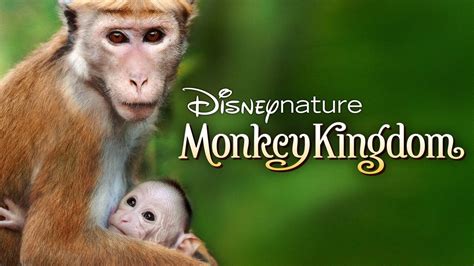 Monkey Kingdom Movie Review and Ratings by Kids