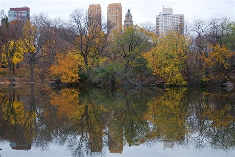 Top Spots to Capture the Colors Of Fall in Central Park