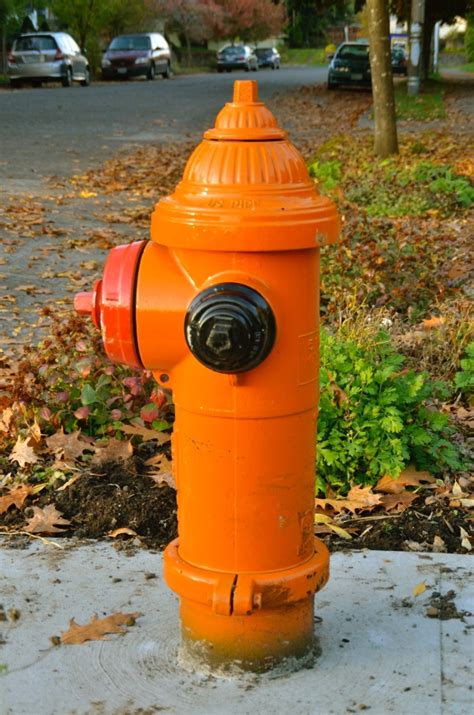 Fire Hydrants across the U.S. | Bluestar2012's Photoblog