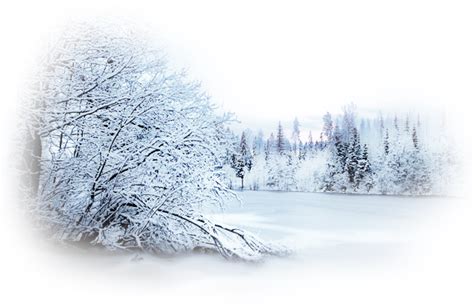 Download Transparent Winter Snow Png - Winter Landscape Transparent ...