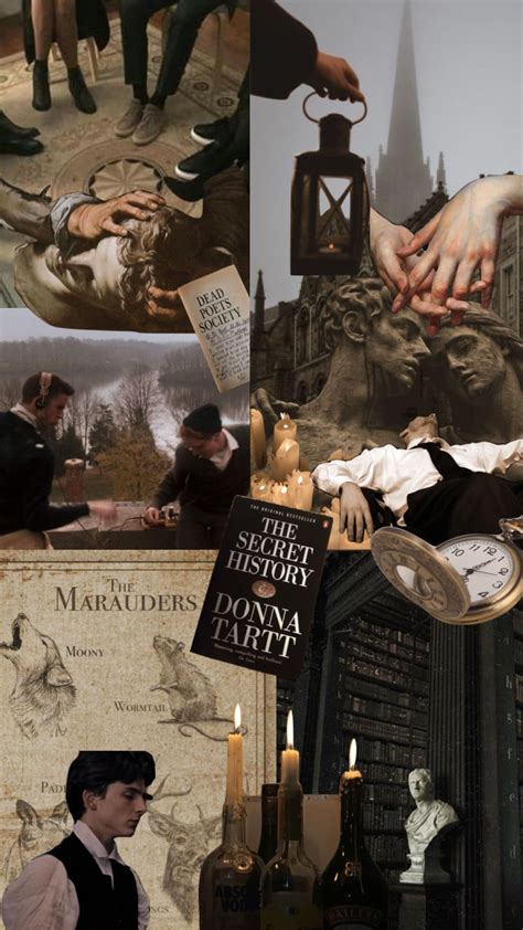 Dark academia moodboard 🍂 #darkacademia #aesthetic #thesecrethistory # ...