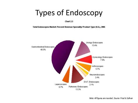 4 Types Of Endoscopy Procedures