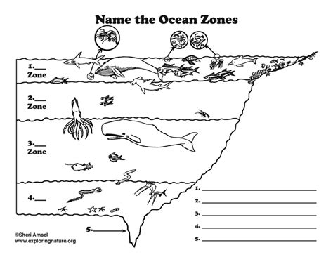 Ocean Zones Labeling (Elementary)