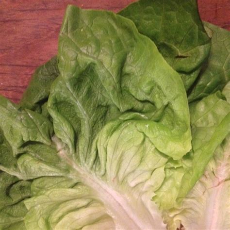 Ingredient Spotlight: Butter Lettuce