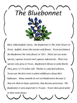 Reading Comprehension: The Bluebonnet | Blue bonnets, Reading ...