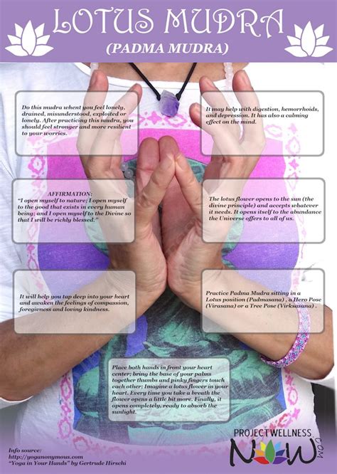 Lotus Mudra - Learn Its Benefits, Affirmation and Instructions | Mudras, Chakra meditation, Yoga ...