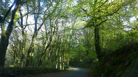 Talog Village and the Surrounding Rural Area, Carmarthenshire - See ...