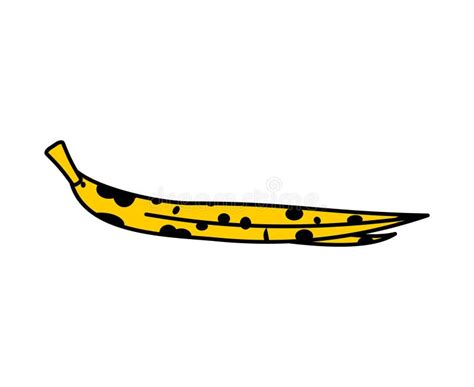 Banana Peel Isolated. Old Rotten Banana Peel Stock Vector ...