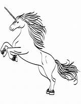 41 Magical Unicorn Coloring Pages ScribbleFun  Printable Pictures sketch template