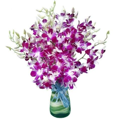 Purple Orchids in a Vase – Flowers By Jack