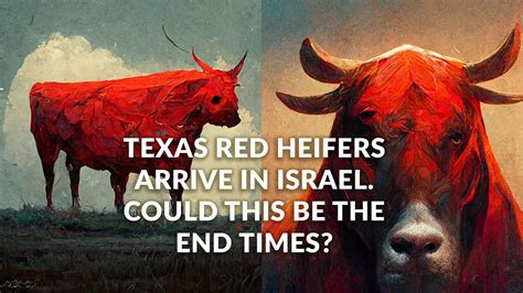 Red Heifers Arrive In Israel. Could This Be The End Times? - Free Grace International