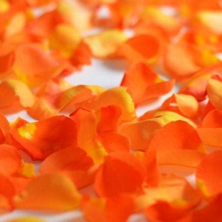 Orange Rose Petals : r/orange