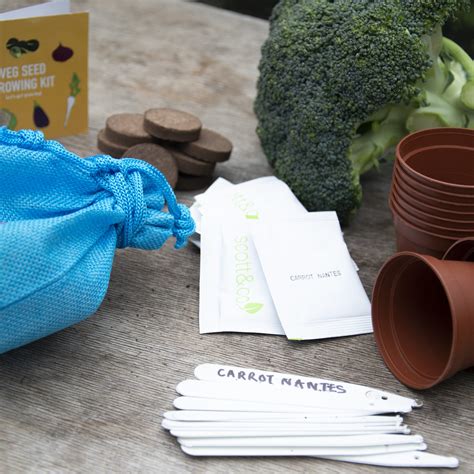 Vegetable Seed Grow Kit – Scott & Co. Seeds